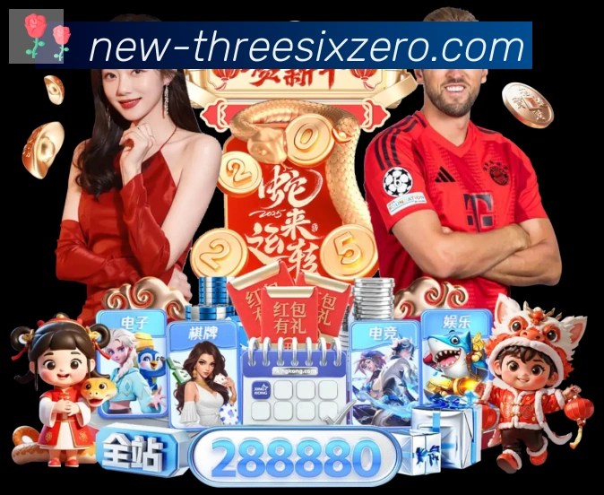 战术分析频道